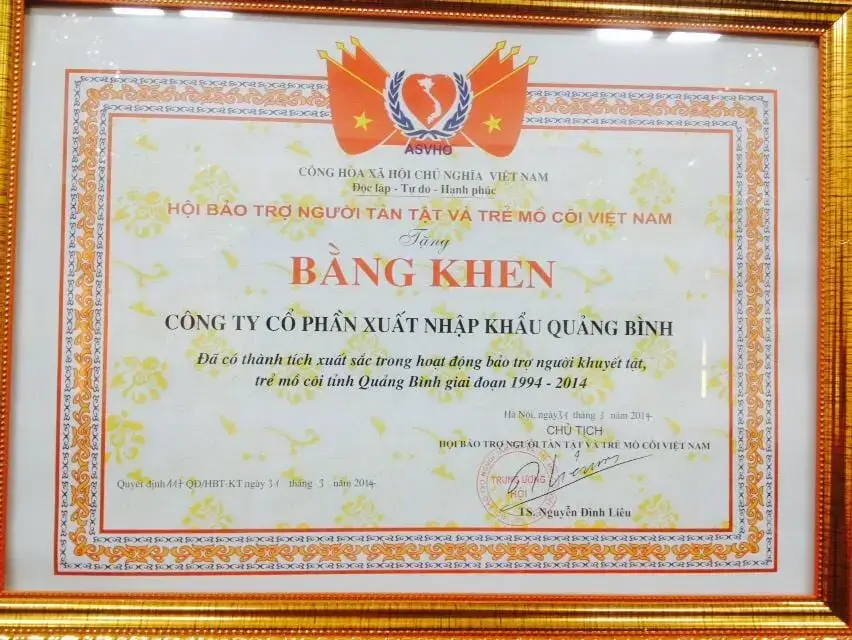 Xuất sắc trong hoạt động bảo trợ người khuyết tật, trẻ mồ côi