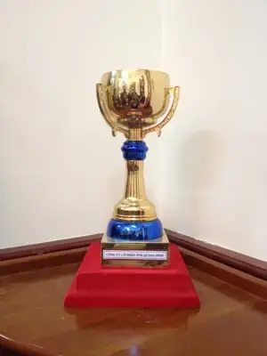 Cúp Sen vàng Việt Nam